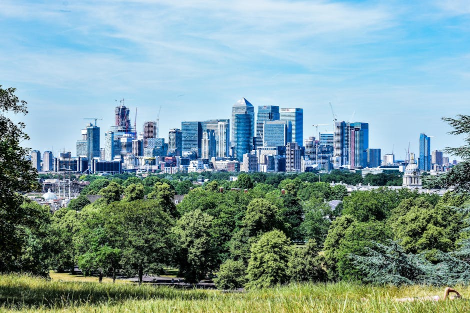 A panoramic view of a modern city skyline featuring numerous high-rise office buildings and skyscrapers constructed with glass and steel, reflecting sunlight, and occupying the background of the image. In the foreground, there is a lush park area with dense, vibrant green trees and well-maintained grassy patches, creating a natural contrast to the urban landscape. The scene is set on a clear, bright day with a slightly cloudy blue sky overhead. The greenery and open space of the park provide a peaceful buffer between the city's dense development and the viewer, illustrating an environment where private waste management or on-site clearance could take place near urban infrastructure. The overall atmosphere is calm and organized, highlighting the blend of natural and built environments often managed by services like Rubbish Removal Greenwich in a professional and unobtrusive manner.