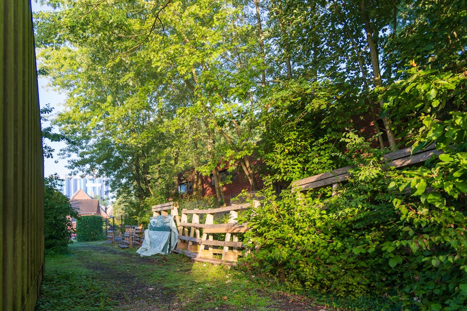A narrow outdoor pathway bordered on the left by a weathered wooden fence and on the right by dense green foliage and bushes. The ground is composed of dirt and patches of grass, with some areas appearing muddy. Several discarded wooden pallets are stacked horizontally against the hedge on the right, with some leaning at slight angles, and a white plastic bag or sheet draped over part of the pallets. In the background, tall trees with bright green leaves cast dappled sunlight over the scene, creating a play of light and shadow. Beyond the trees, the rooftops of residential buildings and a few taller high-rise structures are visible against a clear blue sky, suggesting the setting is in a suburban or urban fringe area. The scene indicates an informal or ongoing outdoor clearance, potentially managed by private waste removal services such as Rubbish Removal Greenwich, to clear discarded furniture or garden waste from the site in preparation for proper waste disposal or recycling, aligning with alternative waste handling practices.